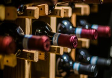 O que você precisa saber antes de investir em um vinhedo